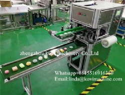 Automatic Bra Hotel Soap Packing Machine Plastic Film Wrapping Machine for Manual Soap Packaging