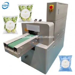 Automatic Plastic Bag Horizontal Pillow Wafer Double Sandwiching Cookies Packaging Flow Wrapper Biscuit Packing Machine